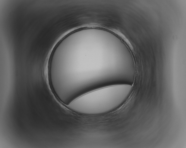 X0000102391343200808010927