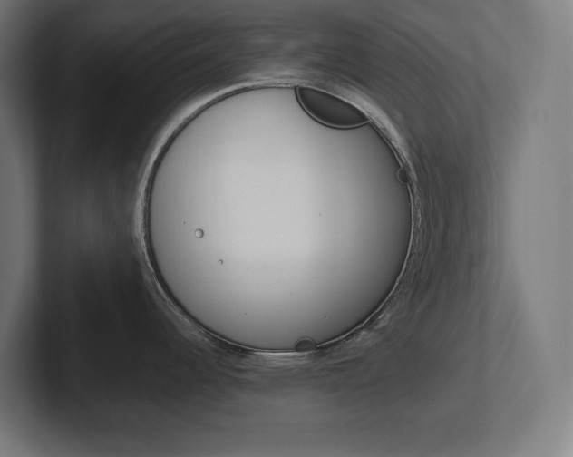 X0000102391344200808010927