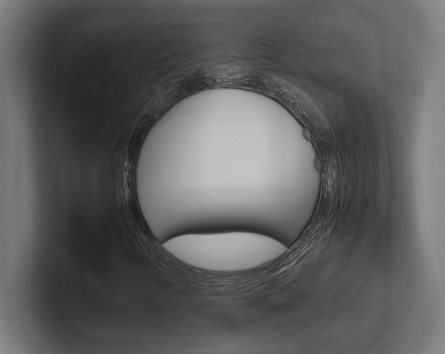 X0000102391346200808010926