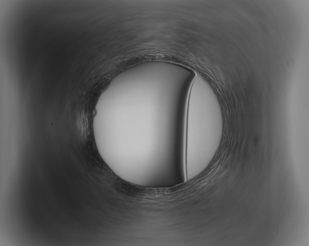 X0000102391347200808010926