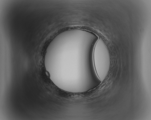 X0000102391351200808010926