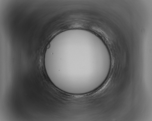 X0000102391353200808010926