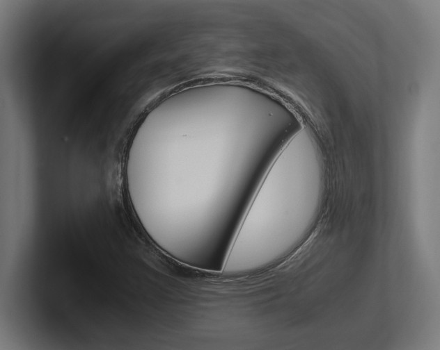 X0000102391355200808010926