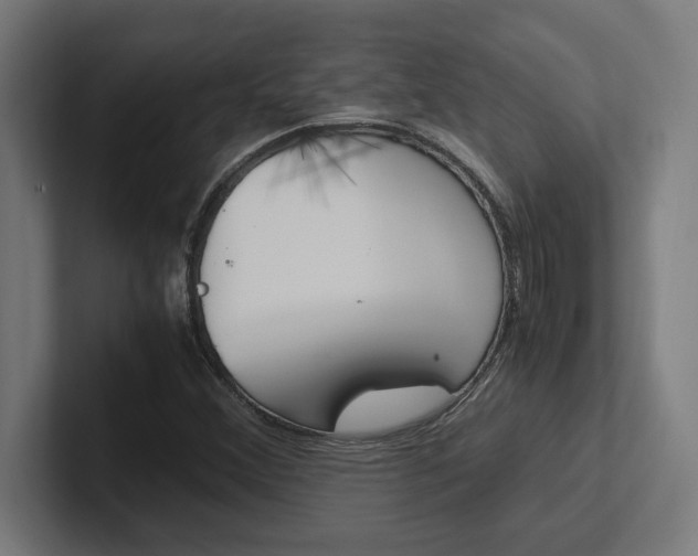 X0000102391356200808010926