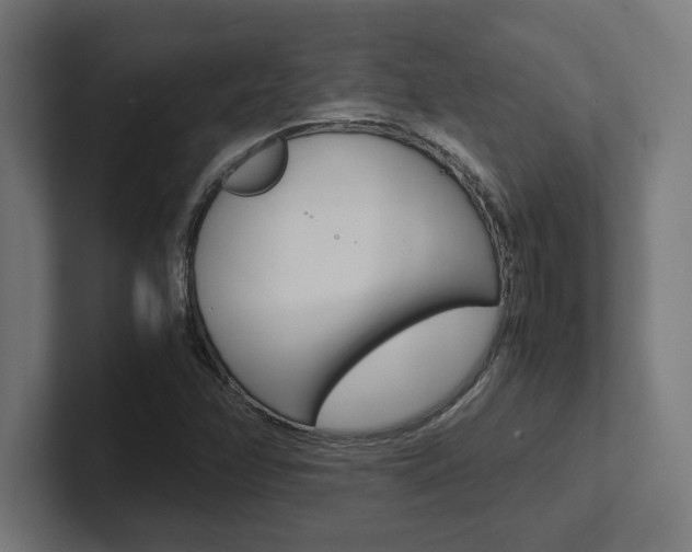 X0000102391358200808010926