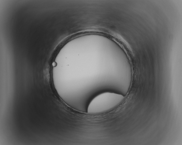 X0000102391360200808010926