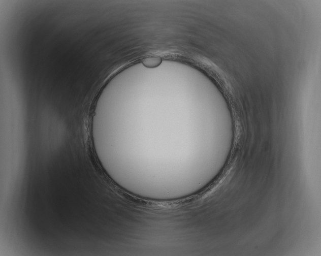 X0000102391361200808010926