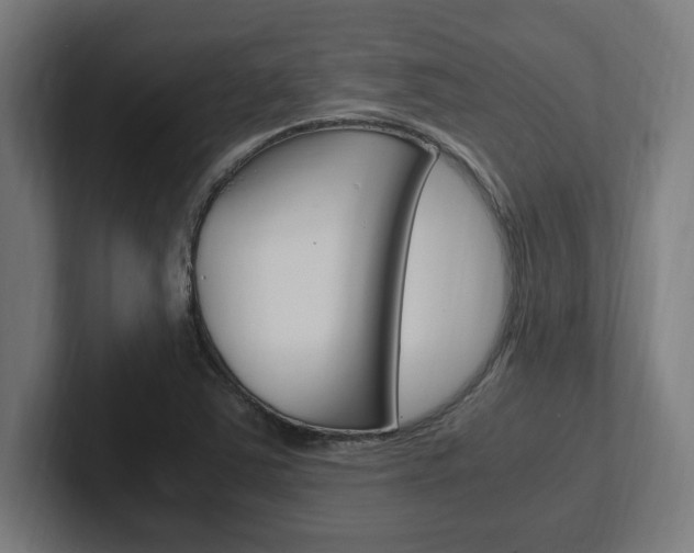 X0000102391363200808010926