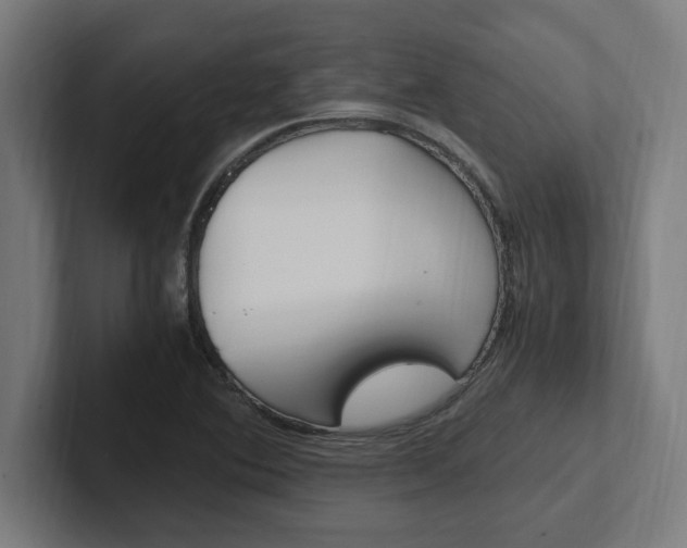 X0000102391364200808010926