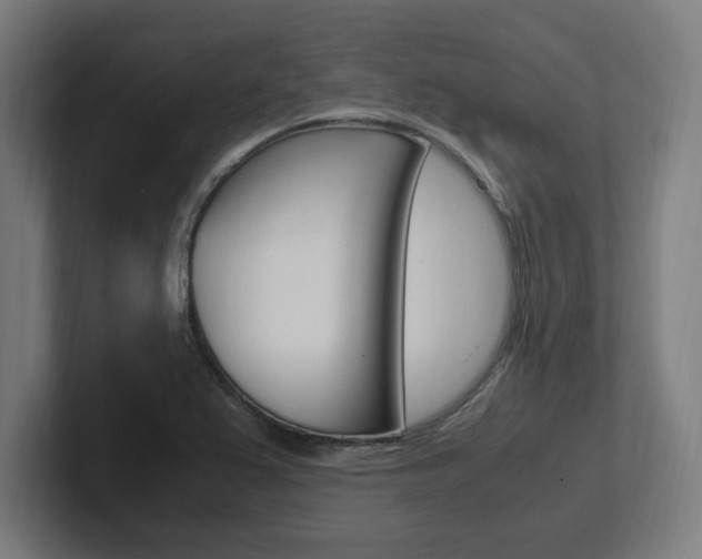 X0000102391367200808010926