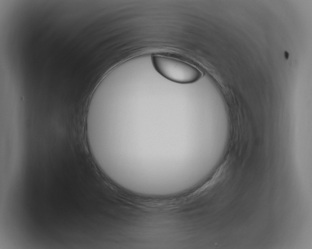 X0000102391369200808010926