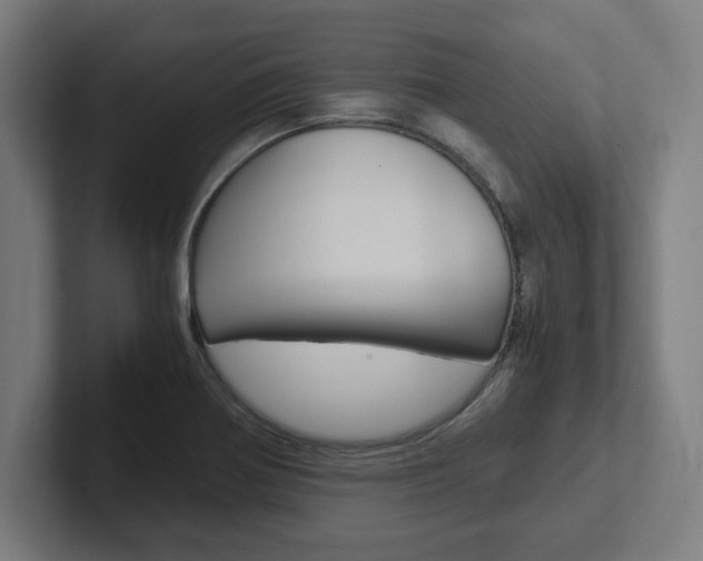 X0000102391370200808010926