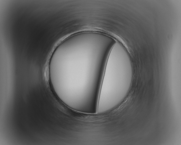 X0000102391371200808010926