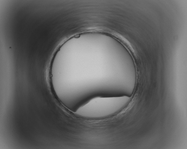 X0000102391373200808010926