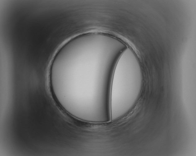 X0000102391375200808010926