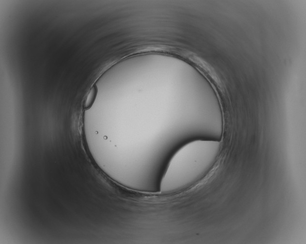 X0000102391377200808010926