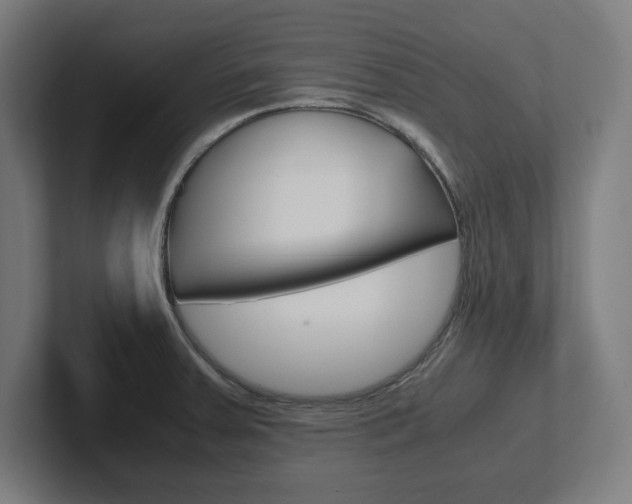 X0000102391379200808010926