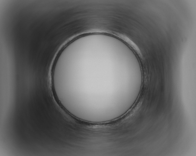 X0000102391380200808010926