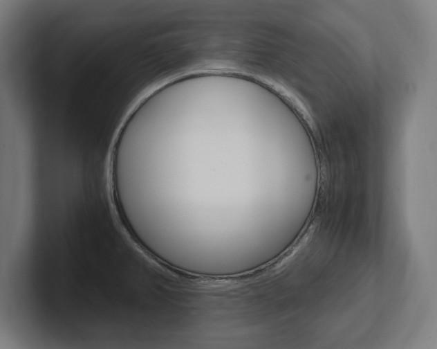 X0000102391382200808010926