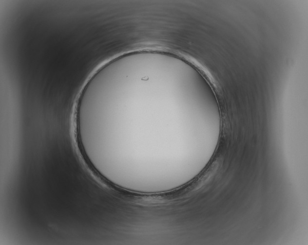 X0000102391383200808010926