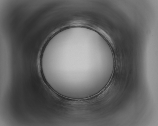 X0000102391384200808010926