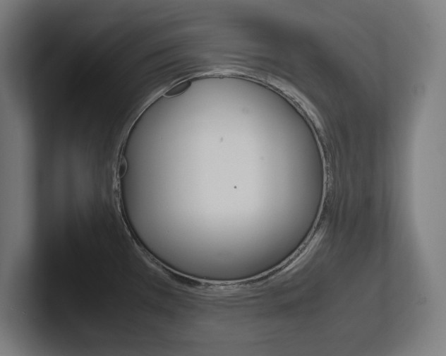 X0000102391385200808010926