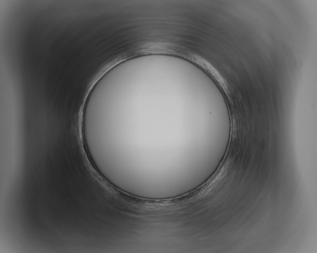 X0000102391386200808010926