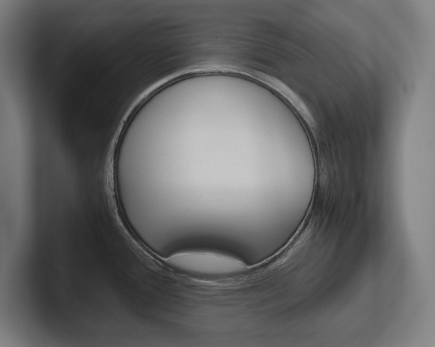 X0000102391388200808010926