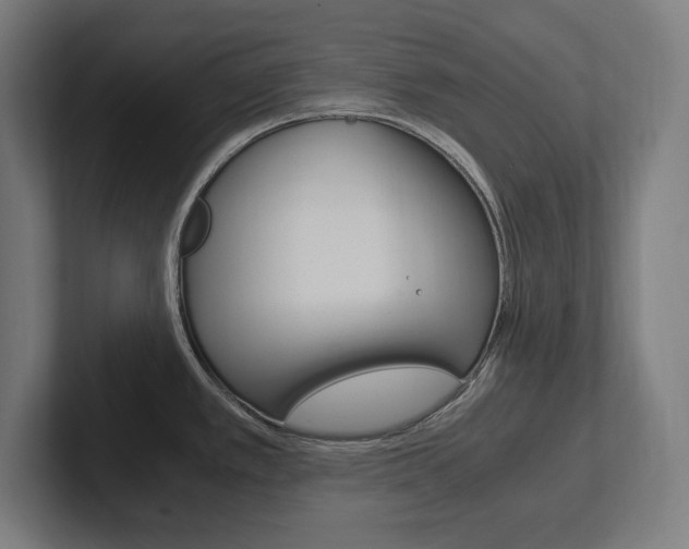 X0000102391389200808010926