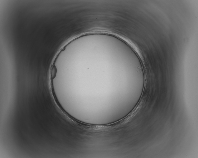 X0000102391390200808010926