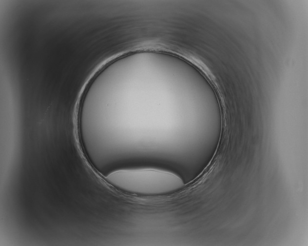 X0000102391392200808010926