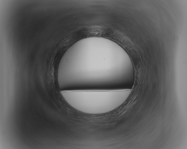 X0000102391394200808010925