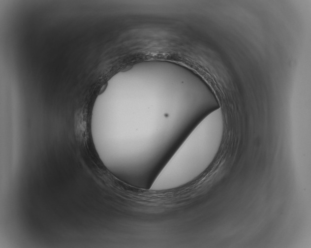X0000102391396200808010925