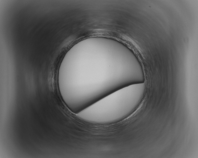 X0000102391403200808010925