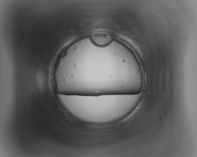 X0000102391405200808010925