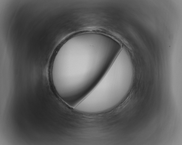 X0000102391412200808010925