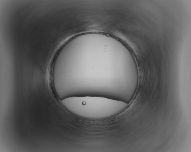 X0000102391415200808010925