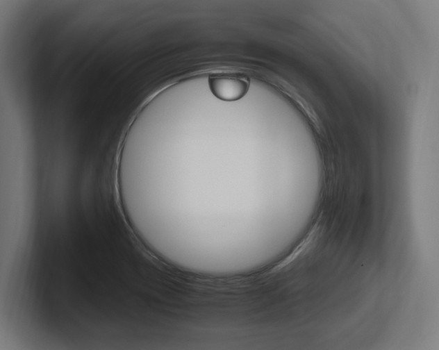 X0000102391417200808010925