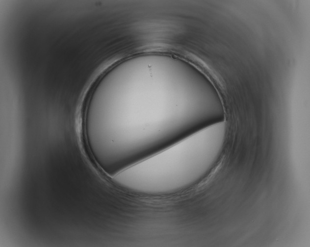 X0000102391418200808010925