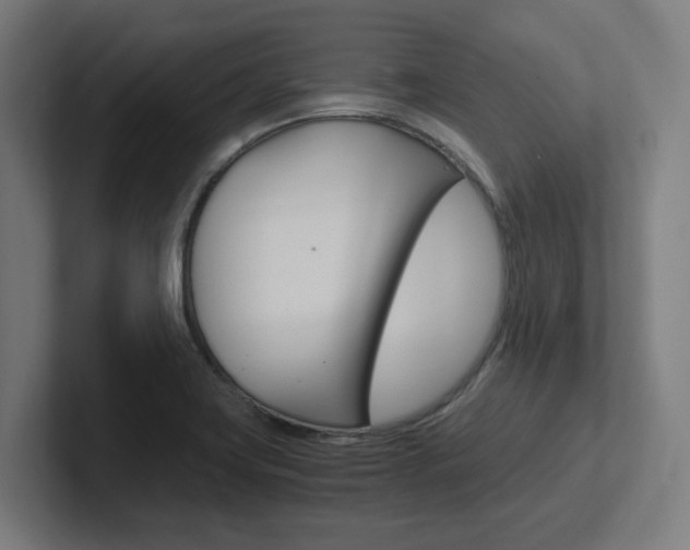 X0000102391419200808010925
