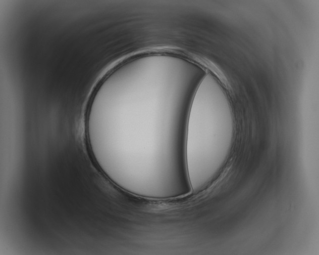 X0000102391420200808010925