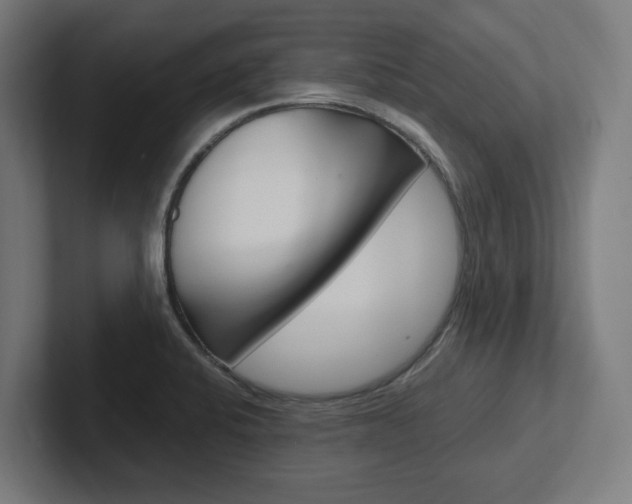X0000102391424200808010925