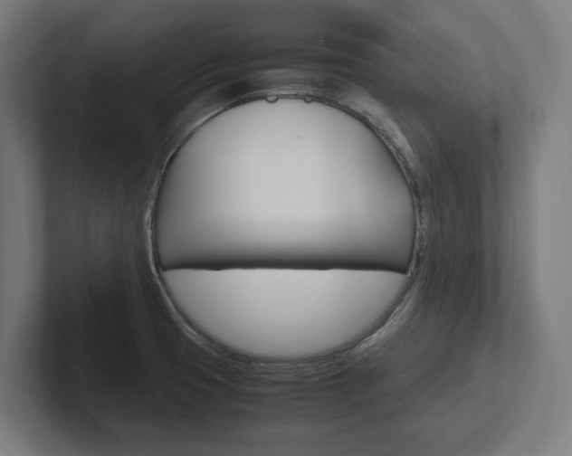 X0000102391425200808010925
