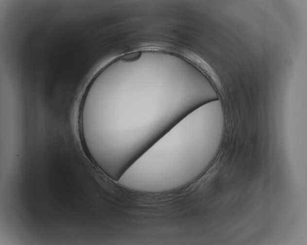 X0000102391427200808010925