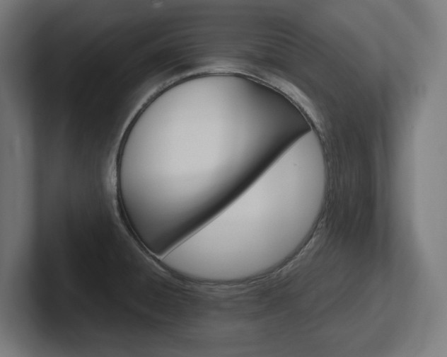 X0000102391428200808010925