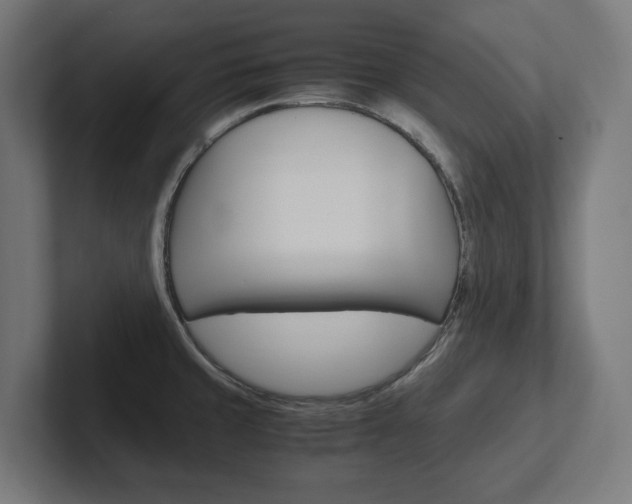 X0000102391429200808010925