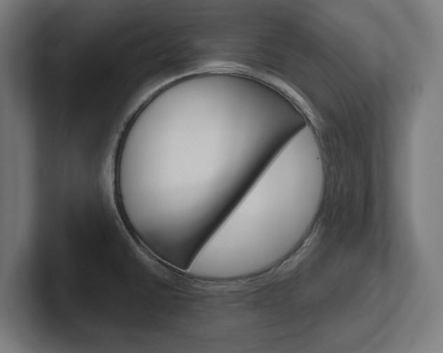 X0000102391430200808010925