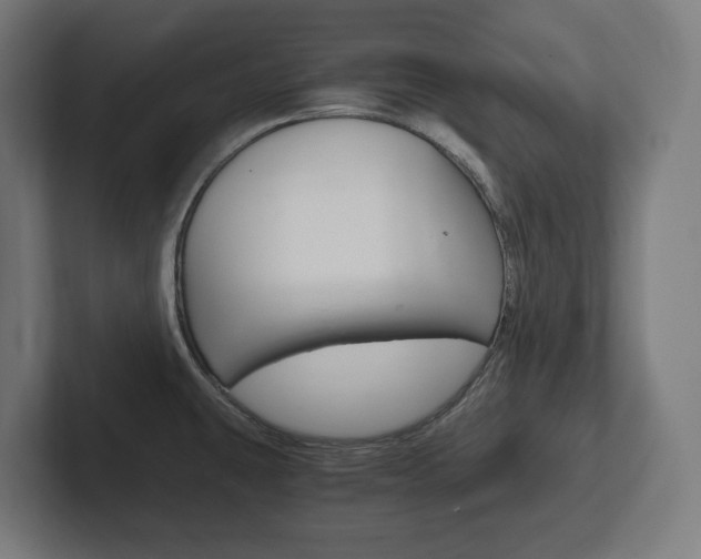 X0000102391431200808010925