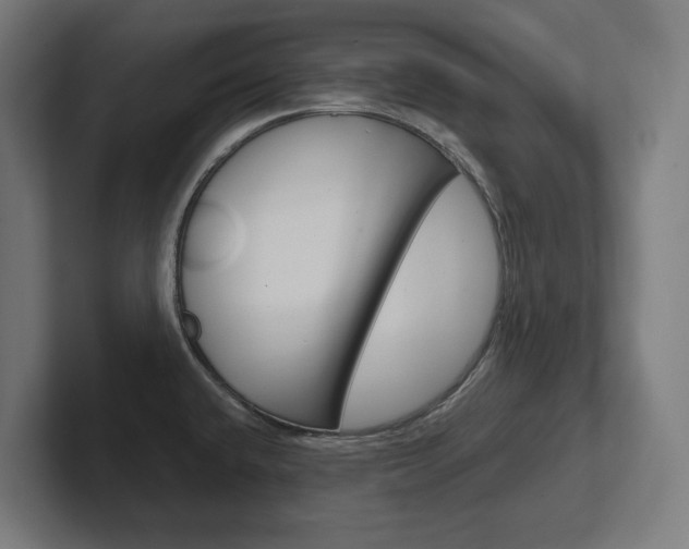 X0000102391432200808010925