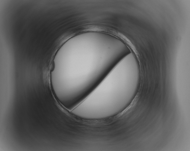 X0000102391433200808010925